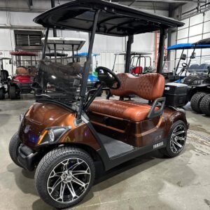 2019 Yamaha Drive2 QuieTech EFI Electric