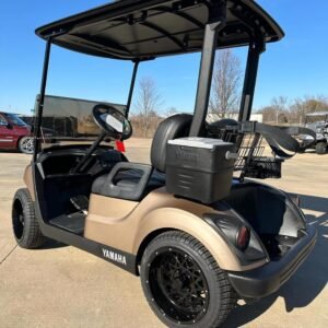 2019 Yamaha Drive2 QuieTech EFI Gas (Grey)