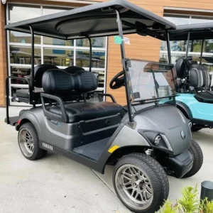 2023 Yamaha Golf-Car Drive2 PTV PowerTech Li