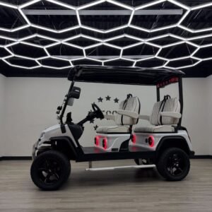 Brand New 2025 Evolution EV D5 Maverick